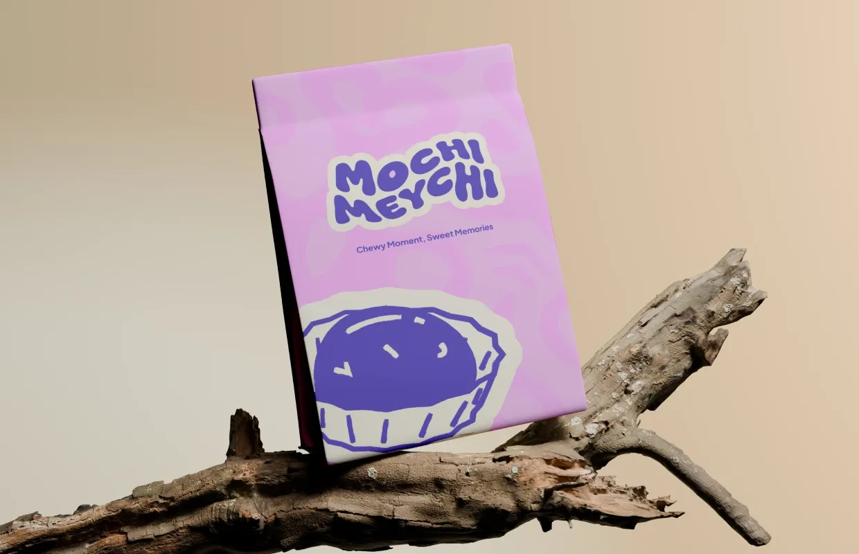 MochiMeychi project overview